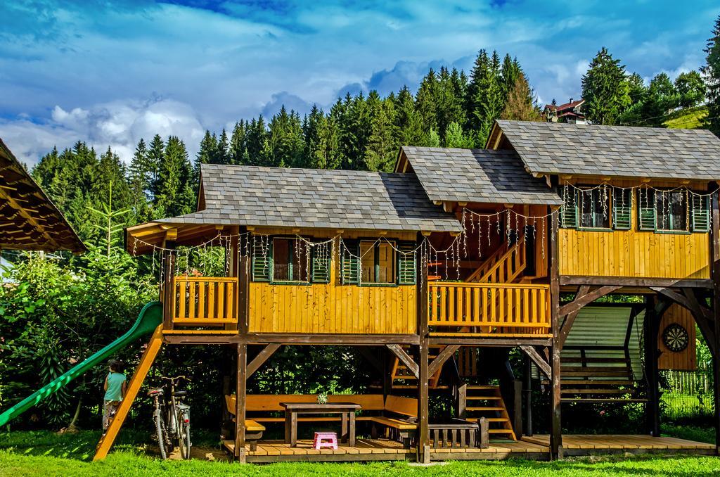 Pensiunea Casa Elvira Vama  Ngoại thất bức ảnh