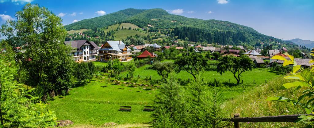 Pensiunea Casa Elvira Vama  Ngoại thất bức ảnh